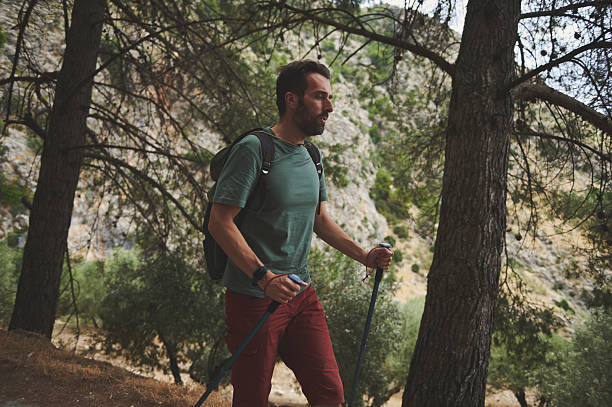 Peaceful forest trail with dappled sunlight for mindful walking